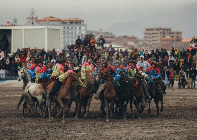 Bets on National Competitions: Traditional Sports and Exotic Contests