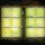 Decision-Making in Betting